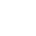 Paid version icon